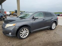 Salvage cars for sale at West Palm Beach, FL auction: 2010 Toyota Venza