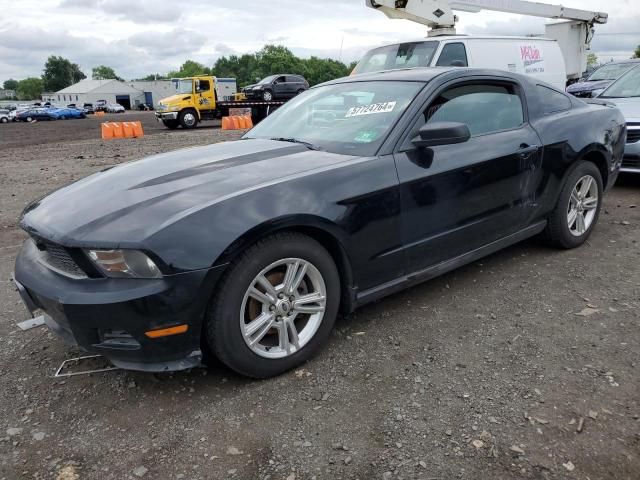 2010 Ford Mustang