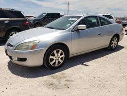 Salvage cars for sale from Copart Andrews, TX: 2005 Honda Accord EX