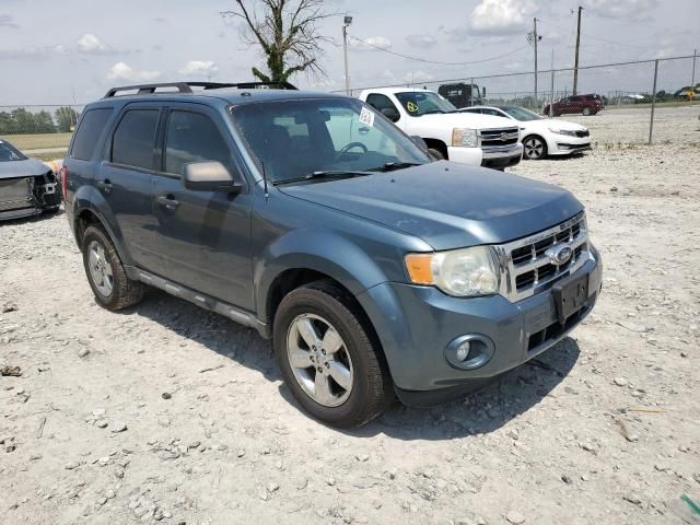 2010 Ford Escape XLT