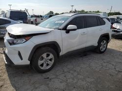 Salvage cars for sale from Copart Indianapolis, IN: 2020 Toyota Rav4 XLE