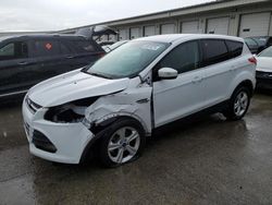 2016 Ford Escape SE en venta en Louisville, KY