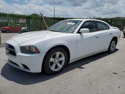 Salvage cars for sale at Orlando, FL auction: 2013 Dodge Charger SE