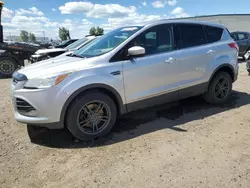Salvage cars for sale from Copart Rocky View County, AB: 2015 Ford Escape SE