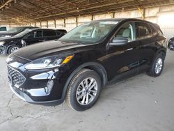 Ford Vehiculos salvage en venta: 2022 Ford Escape SE