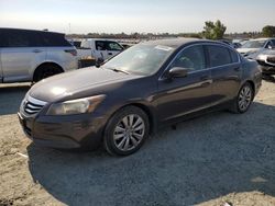 Salvage cars for sale at Antelope, CA auction: 2012 Honda Accord EX