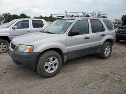 Ford salvage cars for sale: 2003 Ford Escape XLT