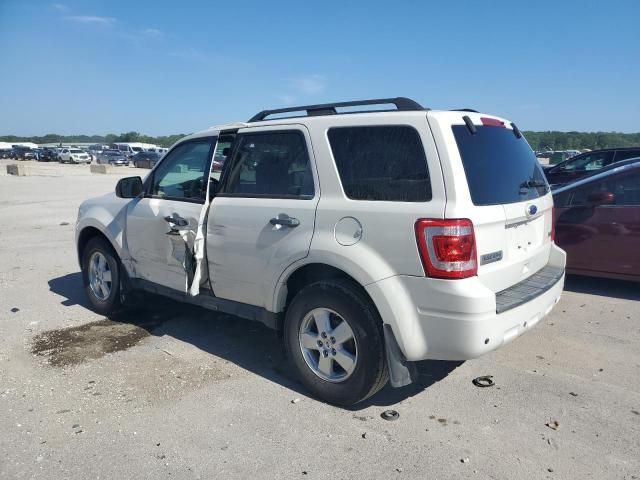 2012 Ford Escape XLT