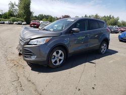 Ford Escape Vehiculos salvage en venta: 2014 Ford Escape SE