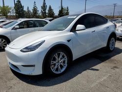 Tesla salvage cars for sale: 2022 Tesla Model Y