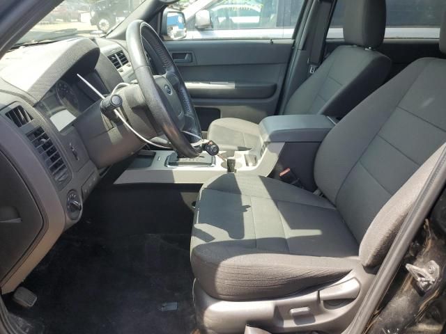 2010 Ford Escape XLT