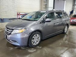 Honda Odyssey EX salvage cars for sale: 2015 Honda Odyssey EX