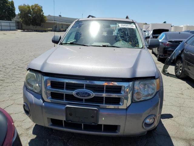 2008 Ford Escape HEV