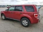 2009 Ford Escape XLS