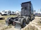 2020 Freightliner Cascadia 126