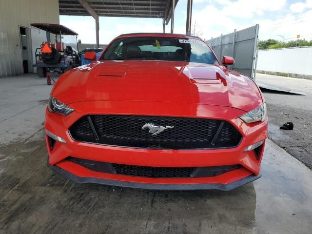 2019 Ford Mustang GT