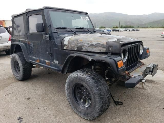 2003 Jeep Wrangler / TJ SE