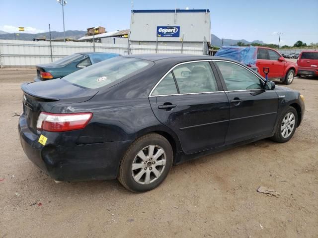 2009 Toyota Camry Hybrid