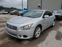 Salvage cars for sale at Apopka, FL auction: 2013 Nissan Maxima S