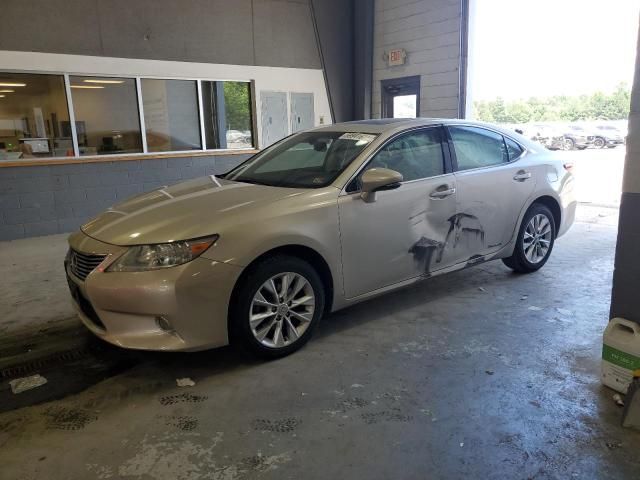 2013 Lexus ES 300H