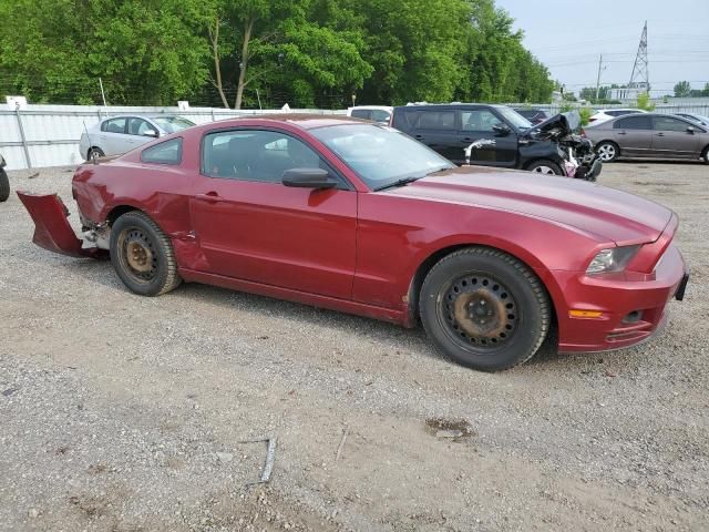 2014 Ford Mustang