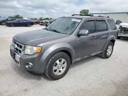 Ford salvage cars for sale: 2010 Ford Escape Limited