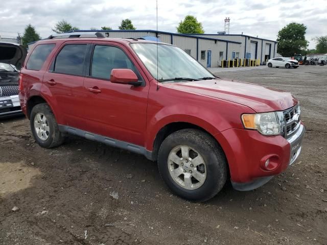 2011 Ford Escape Limited