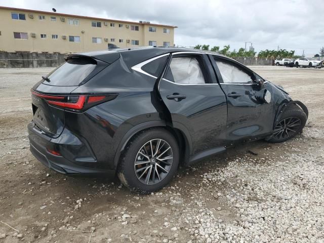 2024 Lexus NX 250 Premium