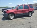 2005 Ford Escape XLT