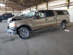 Salvage trucks for sale at Phoenix, AZ auction: 2011 Ford F150 Supercrew