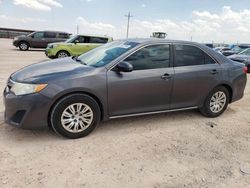 Salvage cars for sale from Copart Andrews, TX: 2014 Toyota Camry L