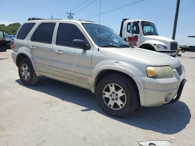 2005 Ford Escape Limited