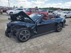 Salvage cars for sale at Indianapolis, IN auction: 2024 Ford Mustang