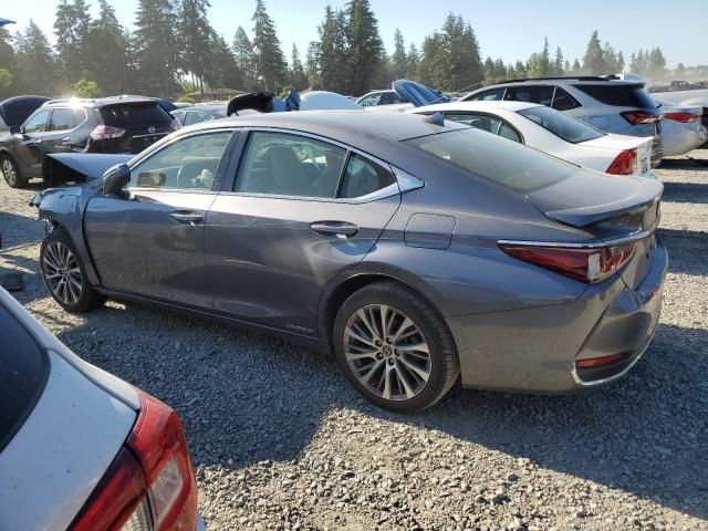 2019 Lexus ES 300H