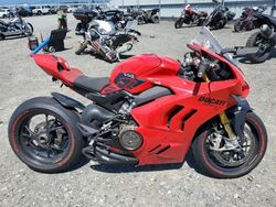 Salvage motorcycles for sale at Arlington, WA auction: 2023 Ducati Panigale V4S