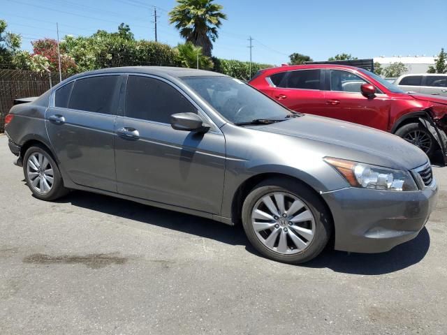 2011 Honda Accord EXL