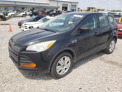 Salvage cars for sale at Earlington, KY auction: 2014 Ford Escape S