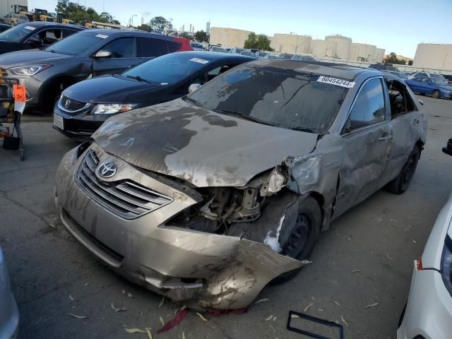 2008 Toyota Camry Hybrid