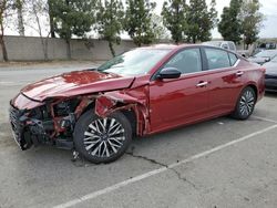 Nissan Altima Vehiculos salvage en venta: 2024 Nissan Altima SV