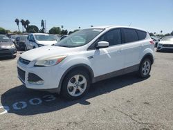 Salvage cars for sale at Van Nuys, CA auction: 2013 Ford Escape SE