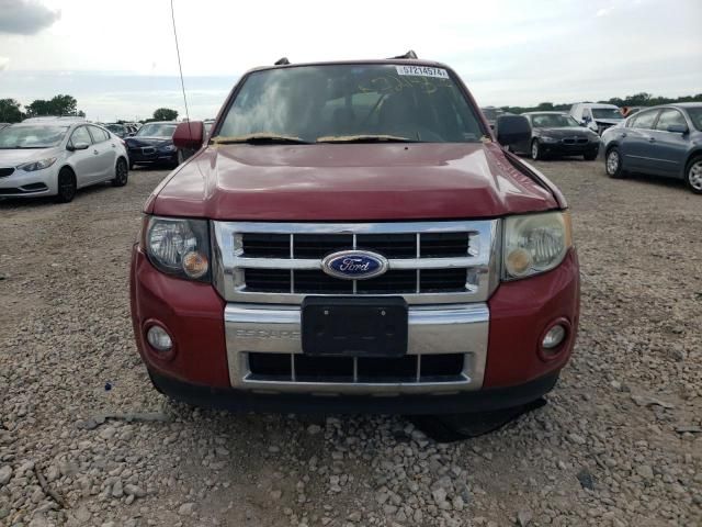 2011 Ford Escape Limited