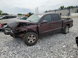 Dodge salvage cars for sale: 2005 Dodge Dakota Quad SLT