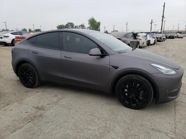 2020 Tesla Model Y