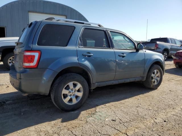 2010 Ford Escape Limited