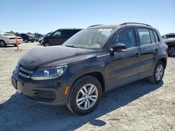 Salvage cars for sale at Antelope, CA auction: 2017 Volkswagen Tiguan S