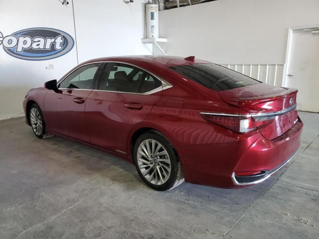 2019 Lexus ES 300H