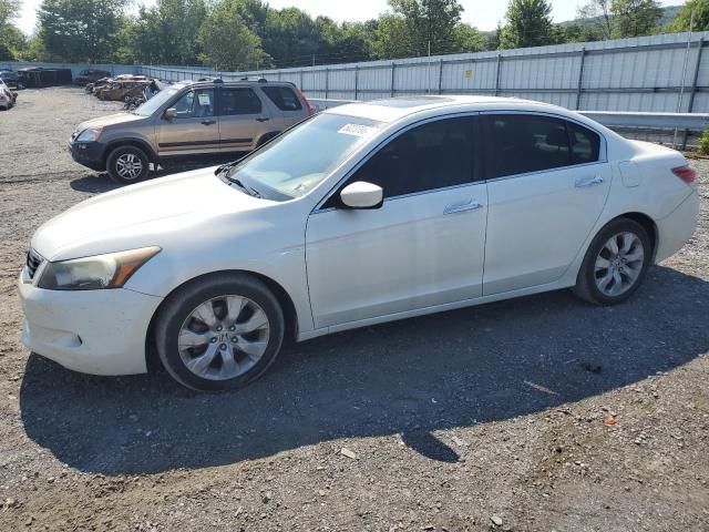 2010 Honda Accord EXL