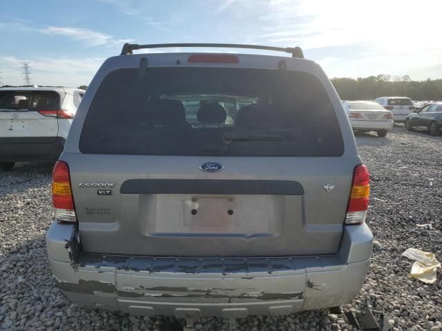 2007 Ford Escape XLT