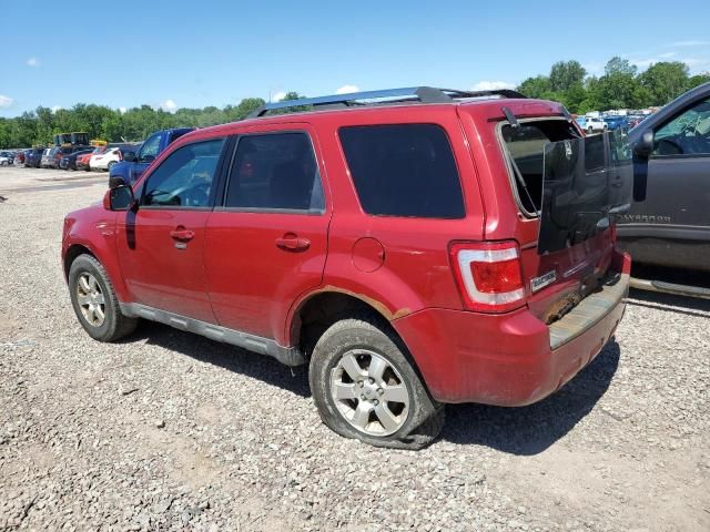 2010 Ford Escape Limited