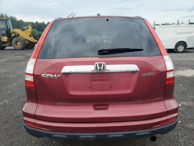 2010 Honda CR-V EX